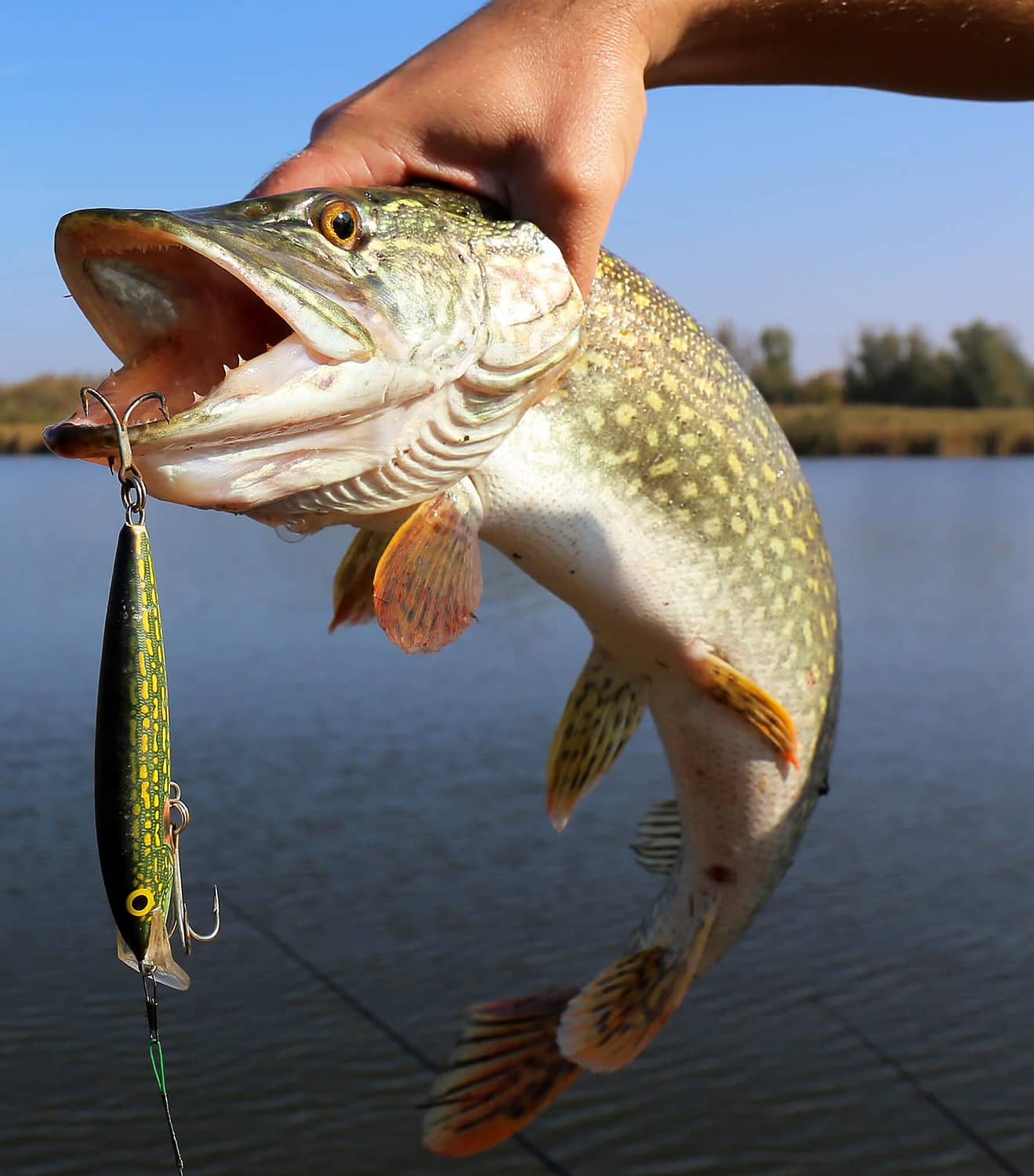 Best northern pike lure