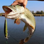 Best northern pike lure