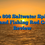 Zebco 808 Saltwater Spincast Reel and Fishing Rod Combo Review