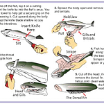 cleaning a fish guide