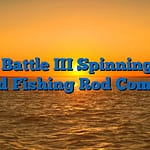 Penn Battle III Spinning Reel and Fishing Rod Combo