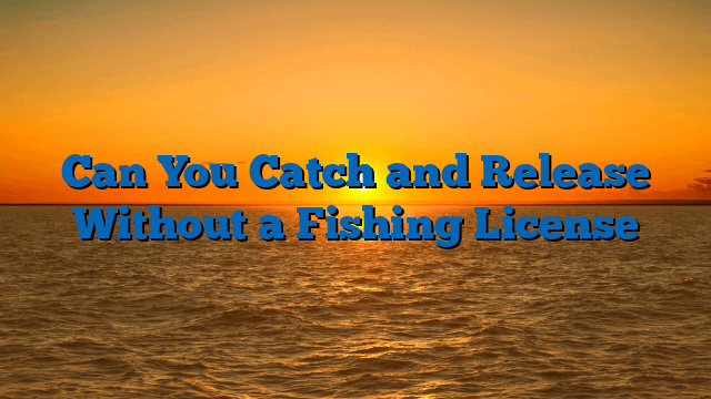 Can You Catch and Release Without a Fishing License