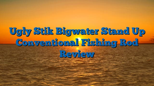 Ugly Stik Bigwater Stand Up Conventional Fishing Rod Review
