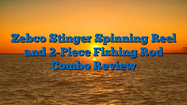 Zebco Stinger Spinning Reel and 2-Piece Fishing Rod Combo Review