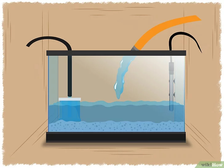 water in fish tank